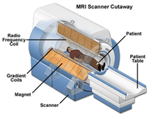 MRI Schema